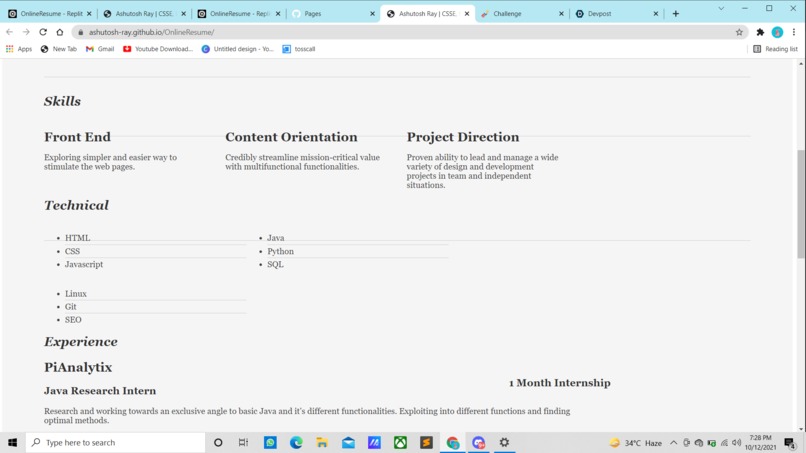 Online Resume – screenshot 2