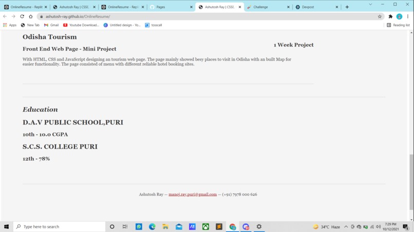 Online Resume – screenshot 3