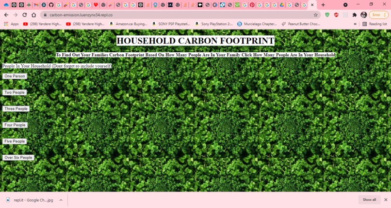 HOUSEHOLD CARBON FOOTPRINT – screenshot 1