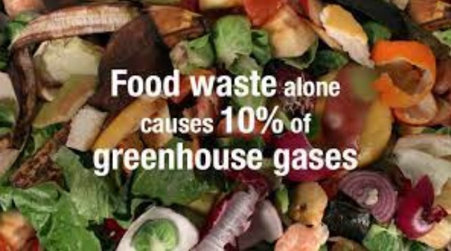 Learn How to Reduce Food Waste – screenshot 6