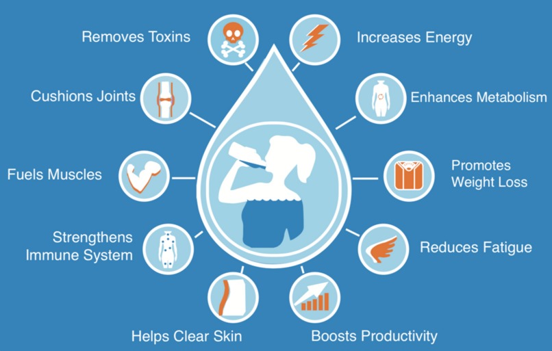 Stay Hydrated – screenshot 3