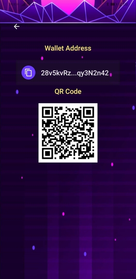 Cross-Platform Solana Wallet App – screenshot 5