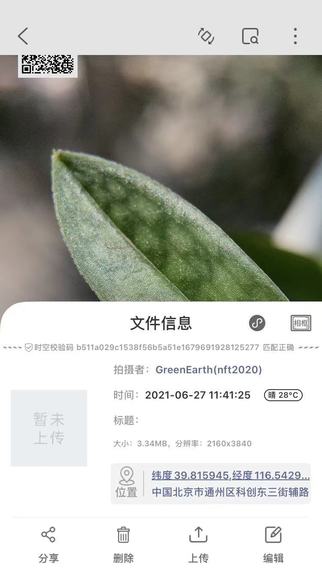 GreenEarthNFT – screenshot 1