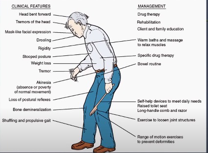 Health Care-Parkinson Disease Detection – screenshot 3