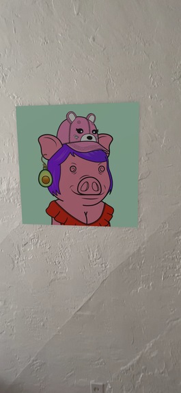 Wallride: AR for Solana NFTs – screenshot 5