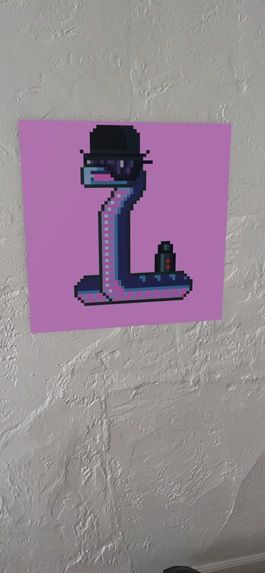 Wallride: AR for Solana NFTs – screenshot 7