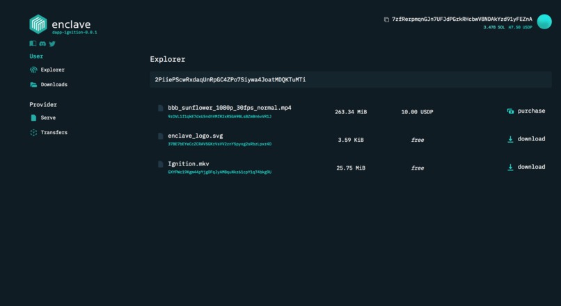 Enclave – screenshot 4