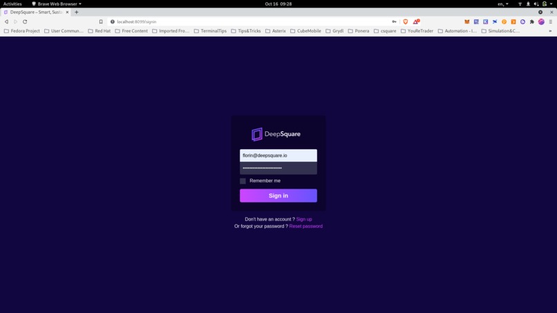 DeepSquare Portal – screenshot 3