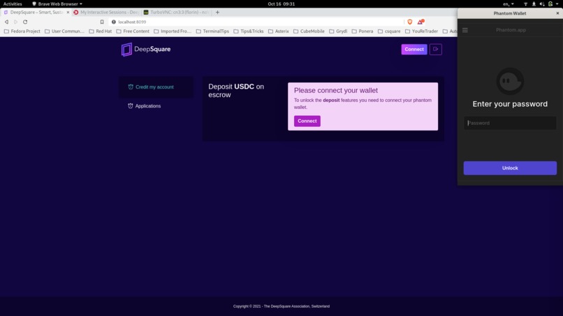 DeepSquare Portal – screenshot 4