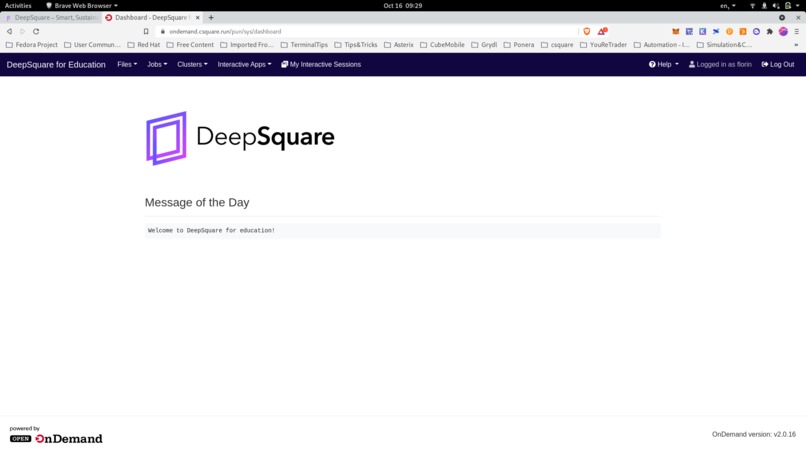 DeepSquare Portal – screenshot 6