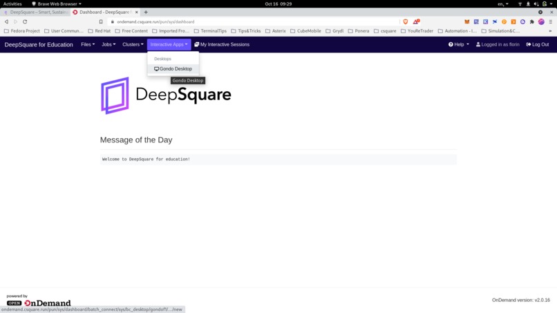 DeepSquare Portal – screenshot 7