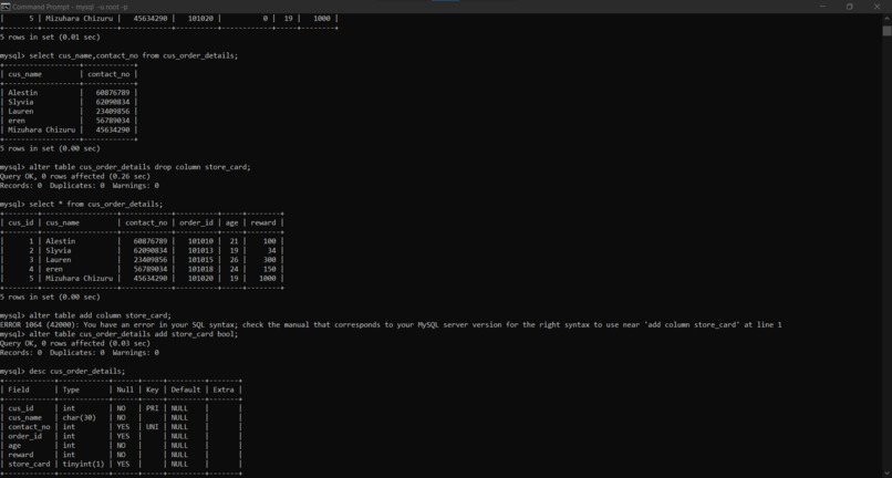 sqlqueries – screenshot 11