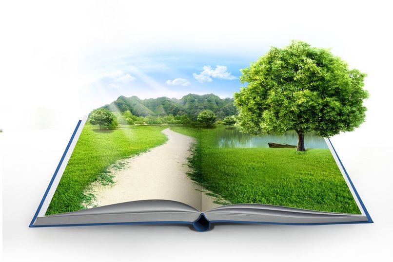 Books for Buddy – screenshot 2