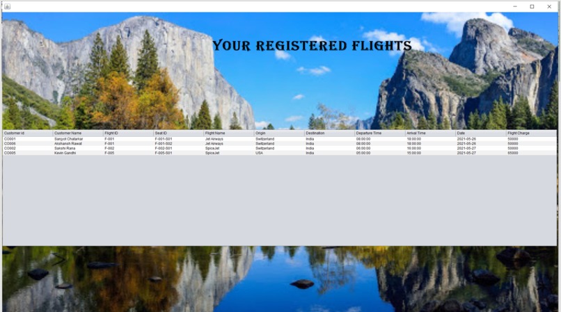  Airline Management System – screenshot 6