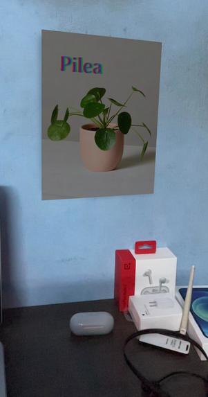 Flora – screenshot 1
