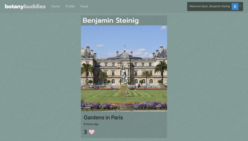 Botany Buddies – screenshot 4