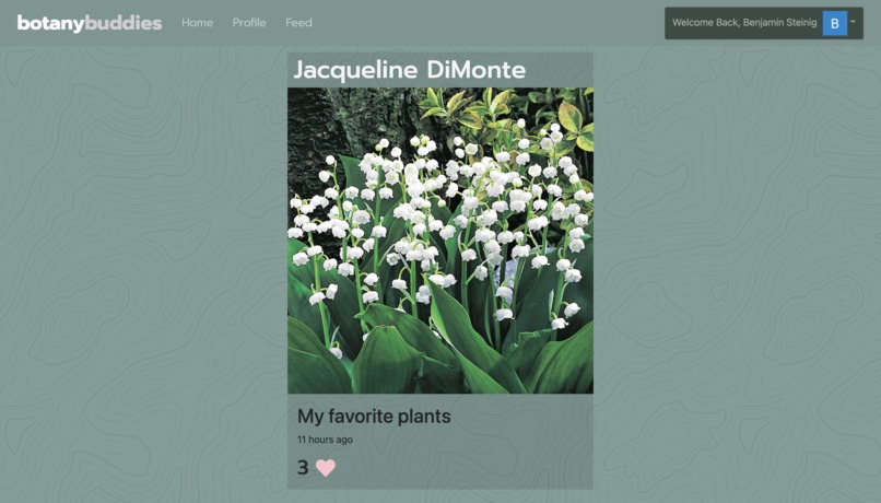 Botany Buddies – screenshot 5