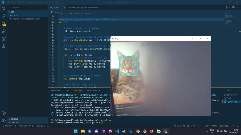 CAT CAT AND CAT – screenshot 1
