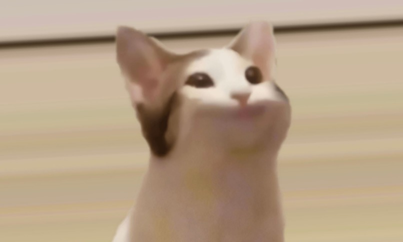 lnwzaa001 – screenshot 1