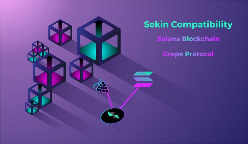 Sekin - #CryptoForCustomerVoice – screenshot 8