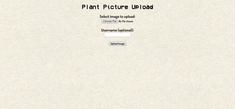 Flora Boards – screenshot 4