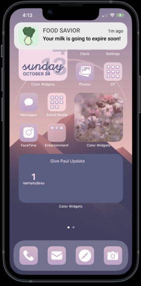 Food Savior – screenshot 1