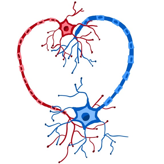 Smile2Smile – screenshot 1