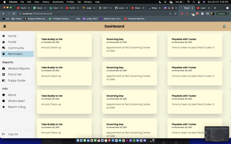 The Furry Buddy – screenshot 1