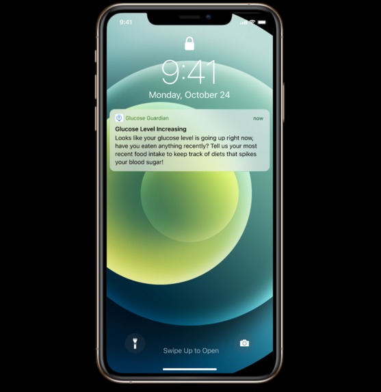 Glucose Guardian – screenshot 4