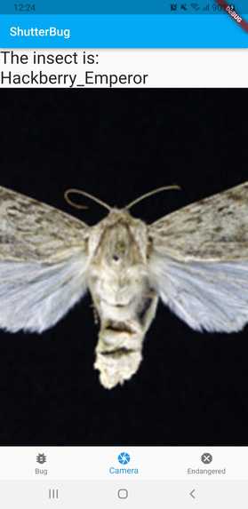 ShutterBug – screenshot 1