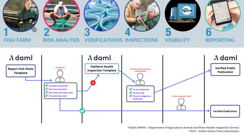 OASISFISH - A DAML way to save Marine friends – screenshot 1