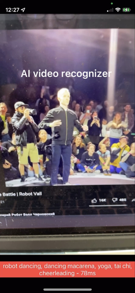 iOS Video Recognizer for Blind – screenshot 1