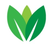 Instagreen – screenshot 1