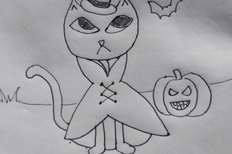 Costume For Cat