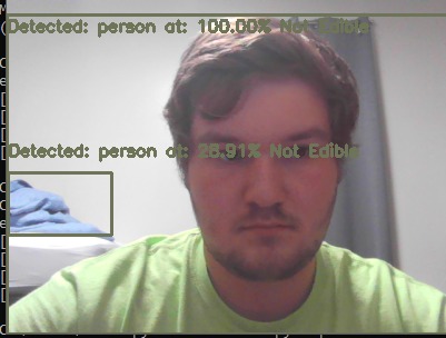 Calories In A Picture – screenshot 2