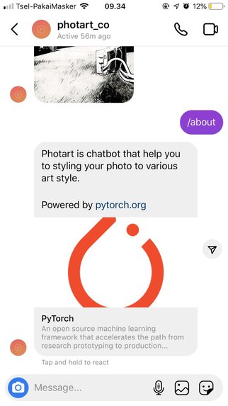 Photart - Turn your photo to artwork on Instagram DM – screenshot 3