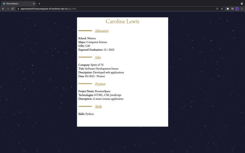 ResumeSpace – screenshot 7