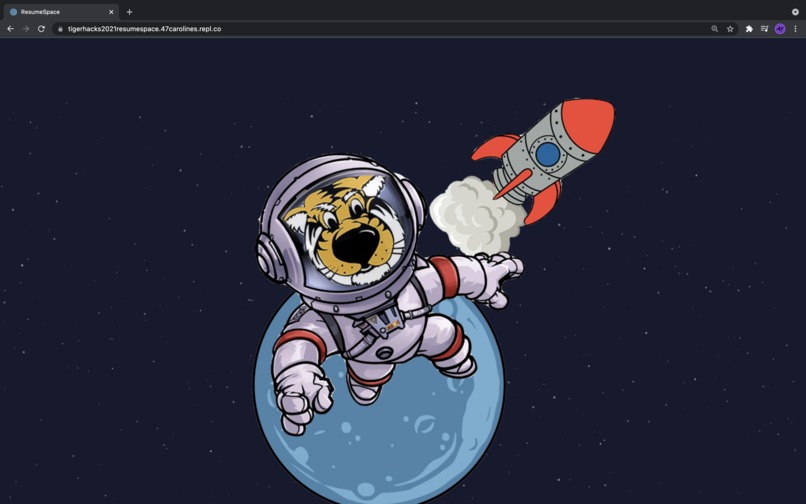 ResumeSpace – screenshot 2
