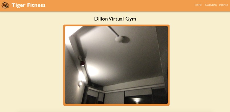 Tiger Fitness – screenshot 4