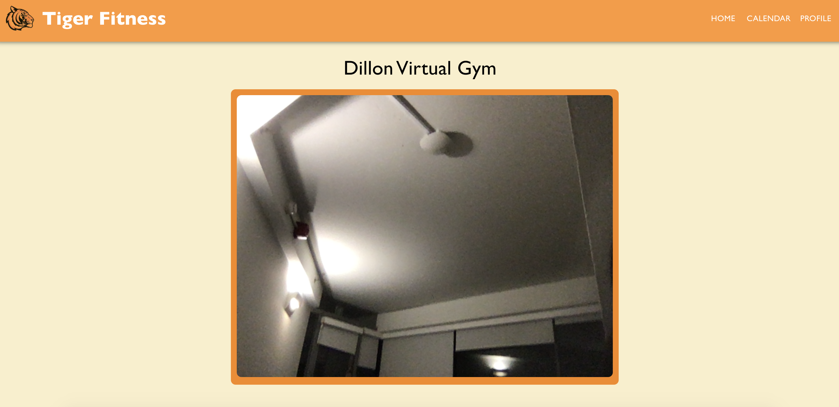 Tiger Fitness Devpost