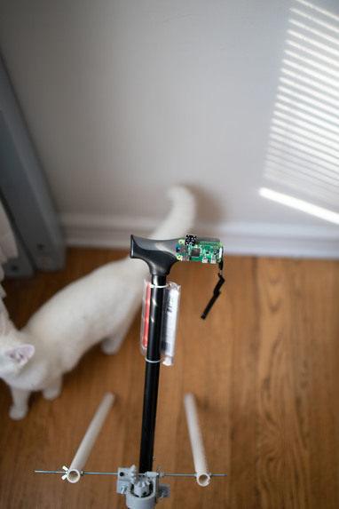 The self standing cane – screenshot 2