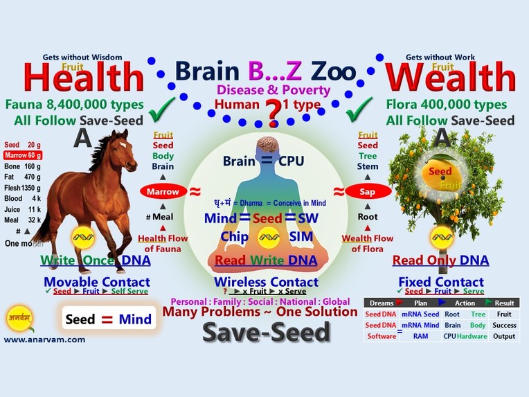 Save-Seed for Health and Wealth – screenshot 1