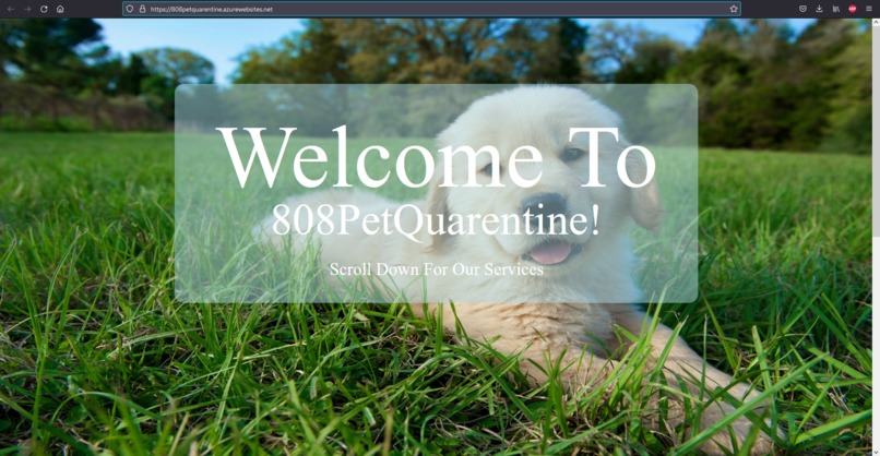 808PetQuarentine – screenshot 1