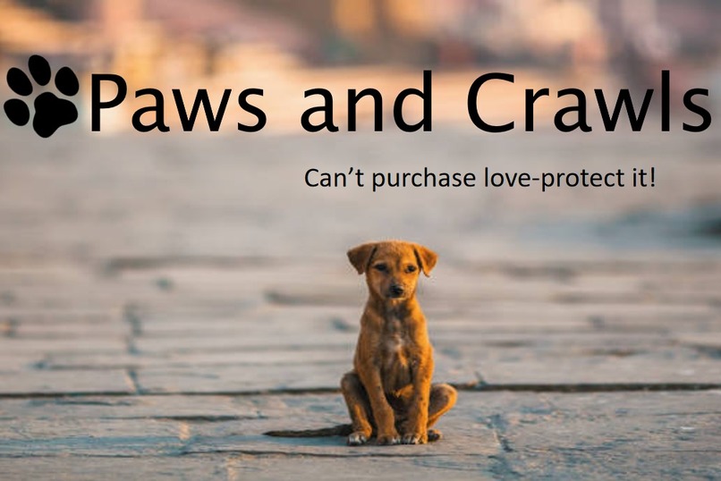 Paws and Crawls – screenshot 1