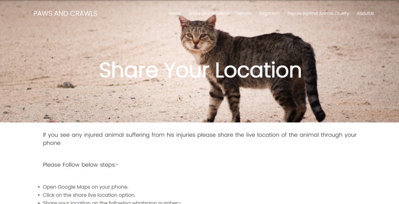 Paws and Crawls – screenshot 2