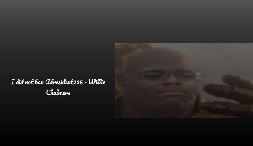 WillieWillieSearch! – screenshot 2