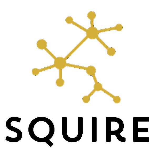 Squire – screenshot 1