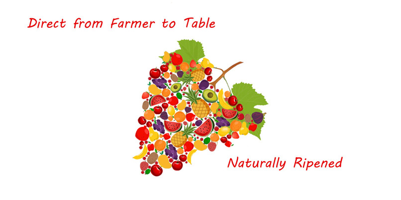 FarmVille – screenshot 2