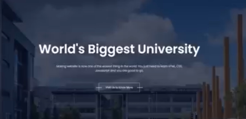 Website – screenshot 2