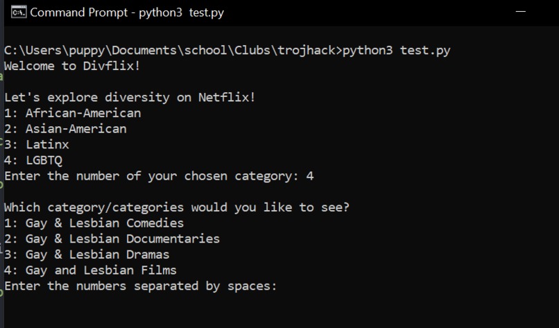 Divflix: Diversity in Movies and Shows – screenshot 3